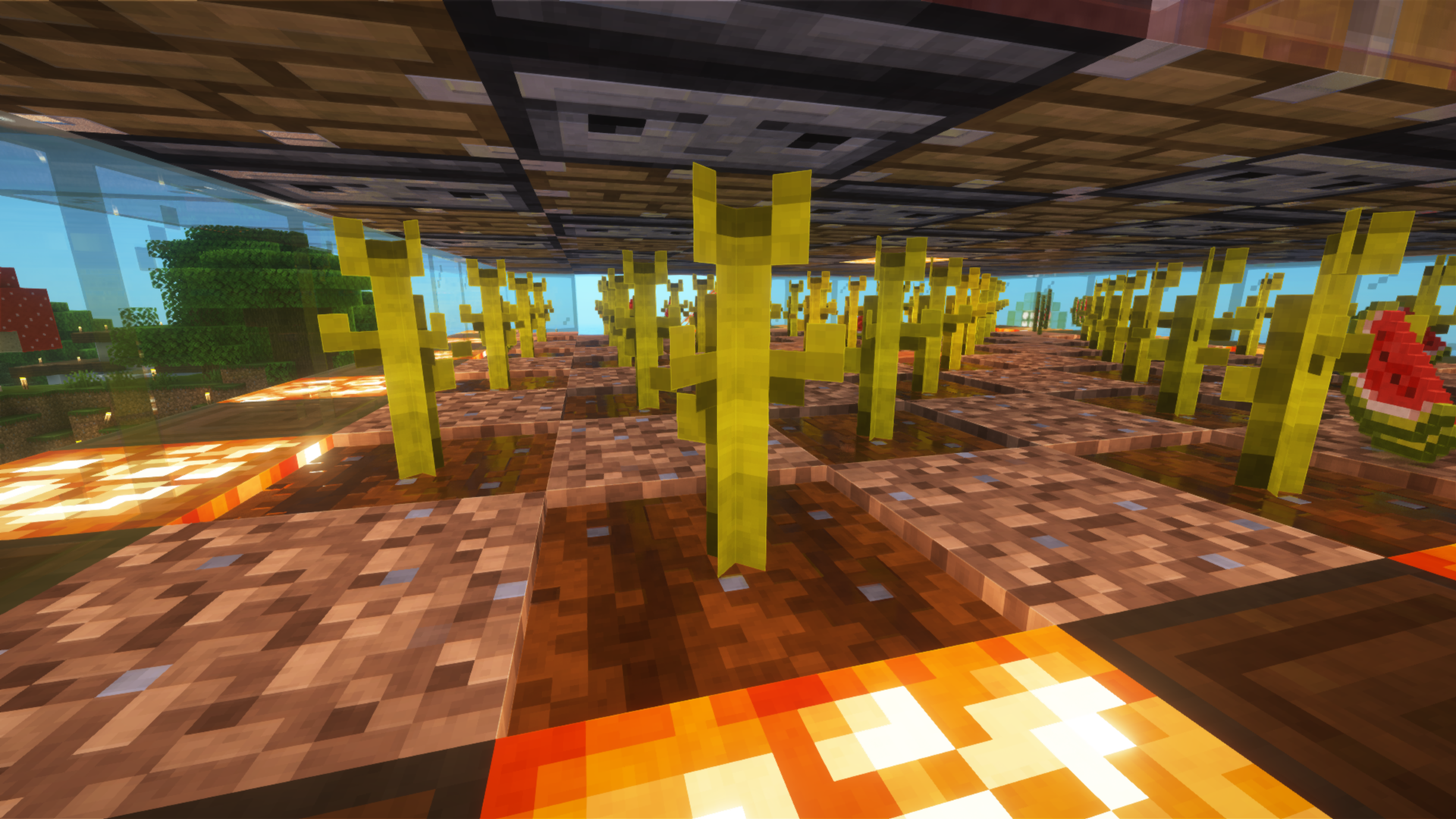 Melon and Pumpkin Farm – additional image